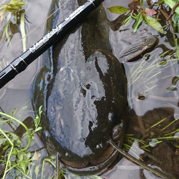 NAMAZON グラスコンポジットモデル